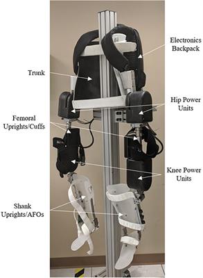 A Muscle-First, Electromechanical Hybrid Gait Restoration System in People With Spinal Cord Injury